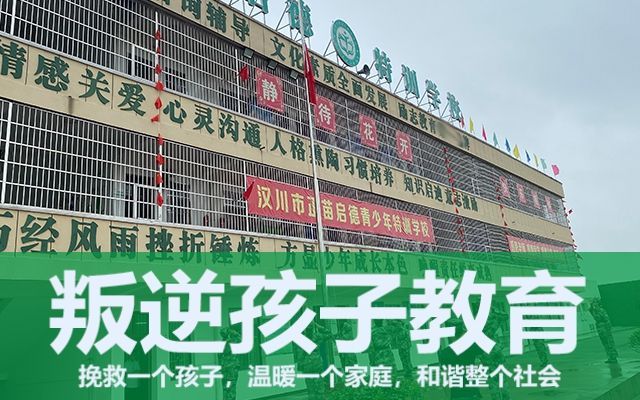 问题青少年特训学校(有哪些青少年特训学校)